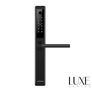 Lion Head Erskine digital lock